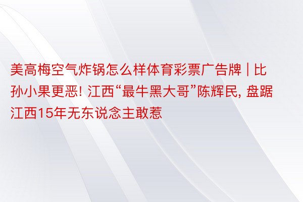 美高梅空气炸锅怎么样体育彩票广告牌 | 比孙小果更恶! 江西“最牛黑大哥”陈辉民, 盘踞江西15年无东说念主敢惹