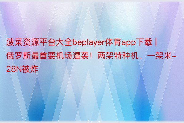 菠菜资源平台大全beplayer体育app下载 | 俄罗斯最首要机场遭袭！两架特种机、一架米-28N被炸